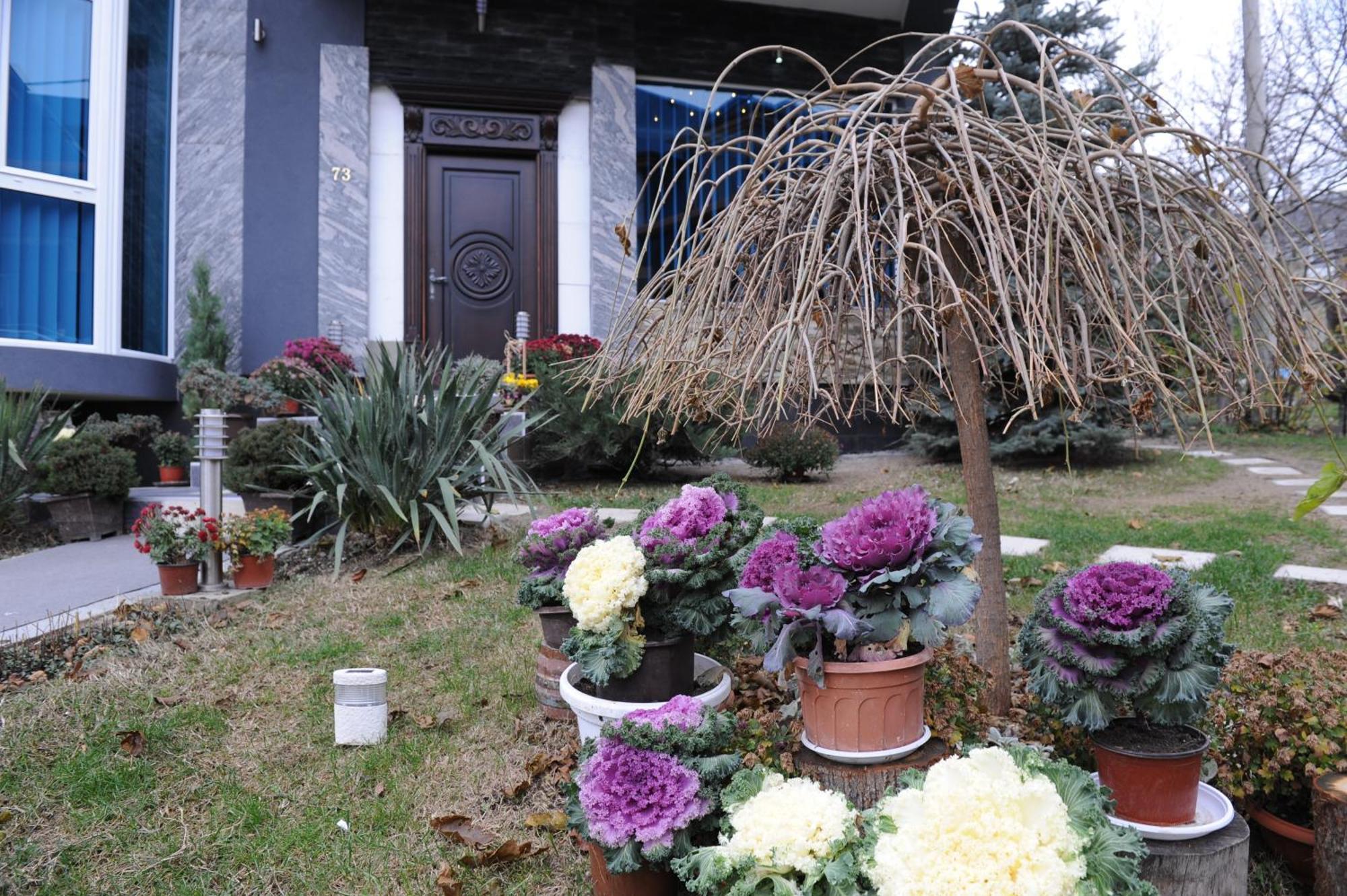Garni Hotel Lama ครากูเยวัตส์ ภายนอก รูปภาพ